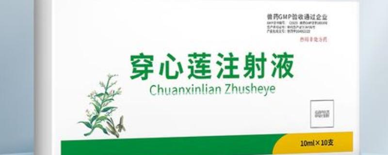 兽用穿心莲主要治什么病，可治疗动物的胃肠道感染