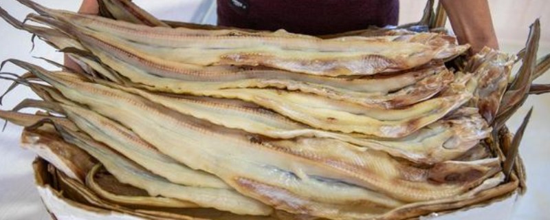 鳗鳞鱼干的价格，价格一般在100-300元每斤