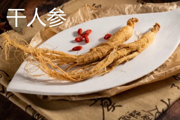 人参的价格，山参每斤售价100-500元左右
