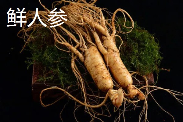 人参的价格，山参每斤售价100-500元左右