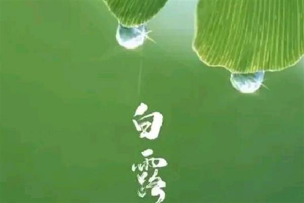 白露节气的含义,指的是炎热的夏天已经彻底告别