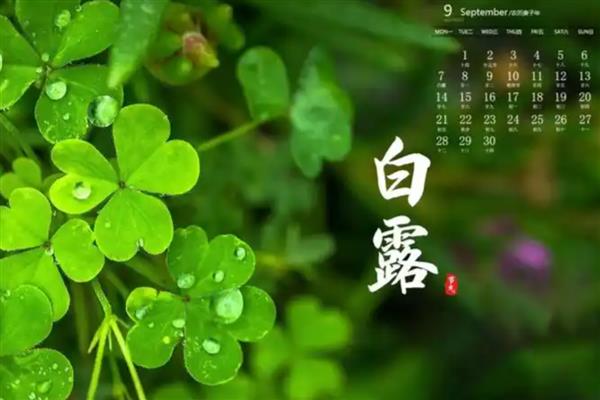 白露节气的含义,指的是炎热的夏天已经彻底告别