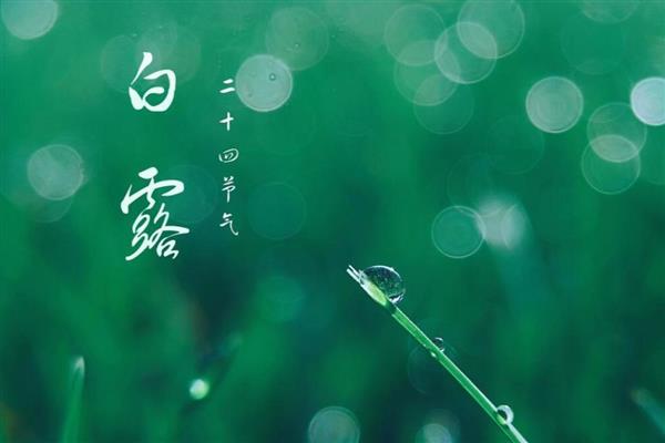 白露节气的含义,指的是炎热的夏天已经彻底告别