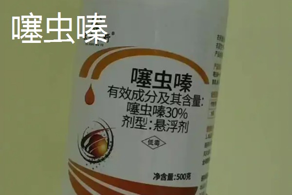 噻虫嗪可以杀什么虫,可以杀管蚜、稻飞虱、线虫等