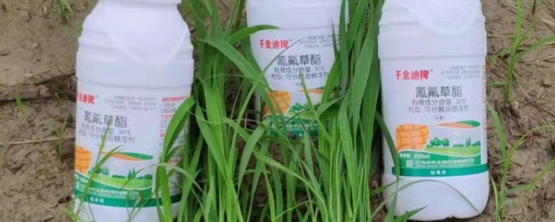 氰氟草酯使用后过多久下雨不影响药效，经过12小时后再下雨不会对药效产生影响