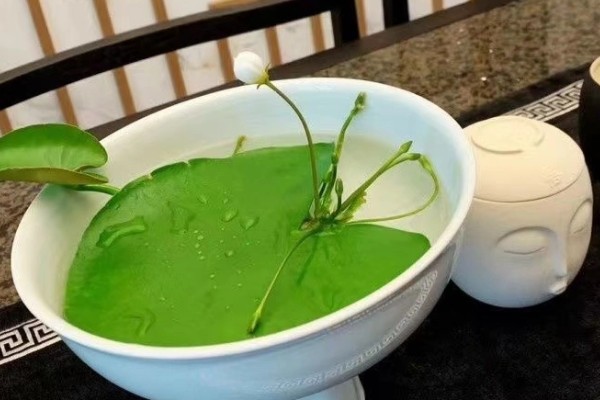 一叶莲怎么水培，种植期间需要适当见光