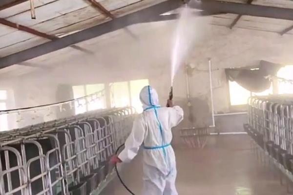 非洲猪瘟病毒的灭杀方法，使用氢氧化钠、漂白粉等消毒药物