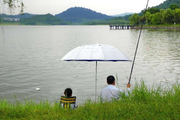 春天能钓什么鱼,能钓鲫鱼、鲤鱼等