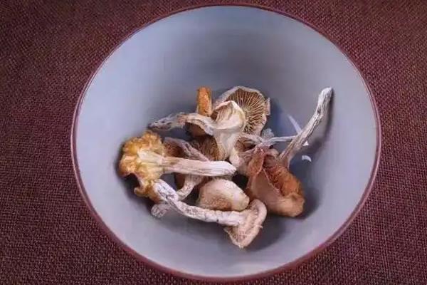 河北省丰宁满族自治县的特产，有黄旗小米、丰宁莜麦等