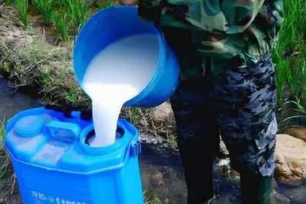 麦田的除草时间,幼苗期、返青期都是除草适期