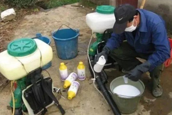 麦田的除草时间,幼苗期、返青期都是除草适期