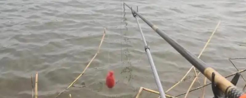 8.1米鱼竿搭配吃铅量多大的浮漂，鱼竿长度与浮漂的吃铅量没有对应关系