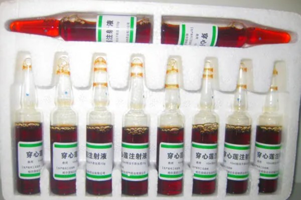 兽用穿心莲主要治什么病,可治疗动物的胃肠道感染