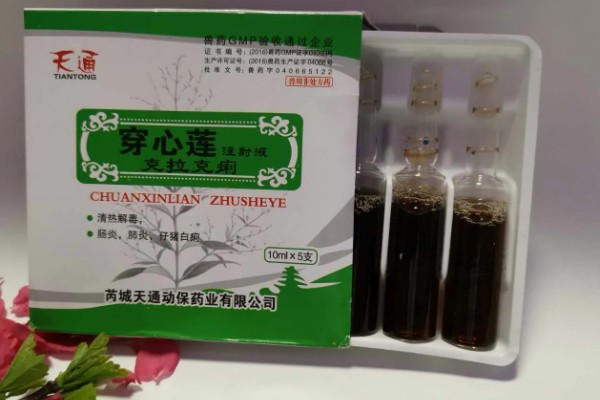 兽用穿心莲主要治什么病,可治疗动物的胃肠道感染