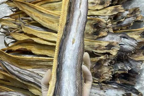 鳗鳞鱼干的价格,价格一般在100-300元每斤