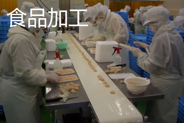 农产品深加工项目，有食品加工、木材加工等