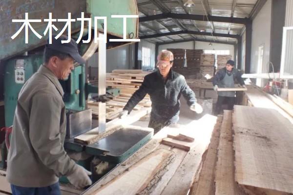 农产品深加工项目，有食品加工、木材加工等