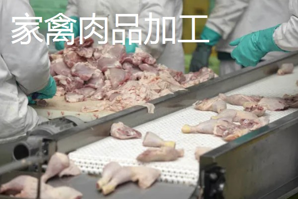 农产品深加工项目，有食品加工、木材加工等