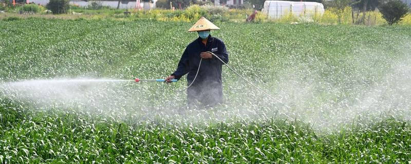 生物农药如何使用，要按照不同防治对象选择不同农药