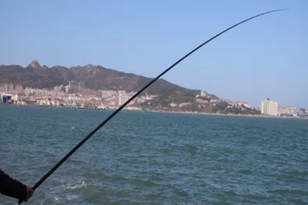 8.1米鱼竿搭配吃铅量多大的浮漂,鱼竿长度与浮漂的吃铅量没有对应关系