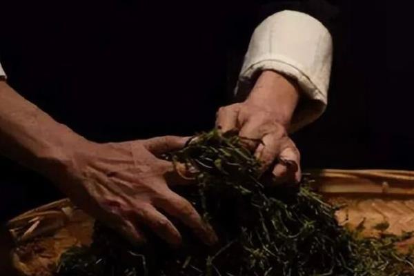 有哪些常见的黑茶，有黑砖茶、青砖茶等