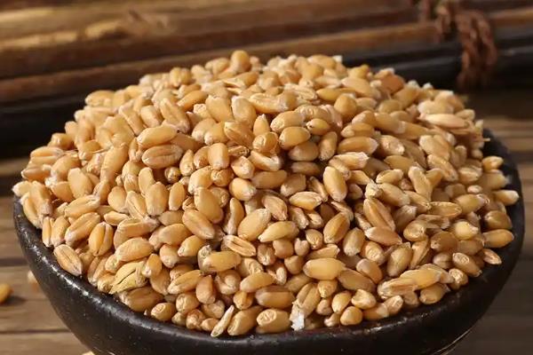 小麦种子的含水量，国标规定是12.5%