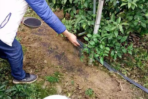 哪种肥料不是有机肥料，有石灰、碳酸氢铵等