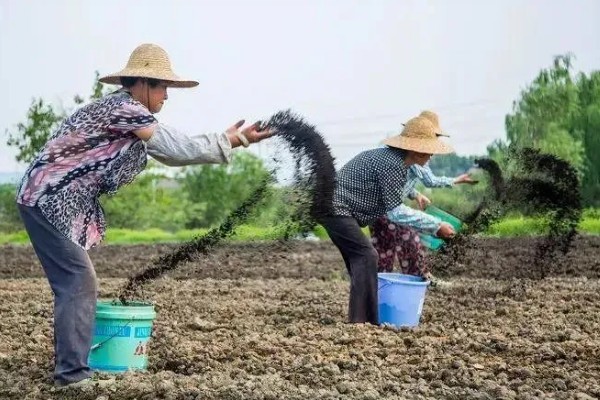 哪种肥料不是有机肥料，有石灰、碳酸氢铵等