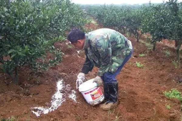 哪种肥料不是有机肥料，有石灰、碳酸氢铵等