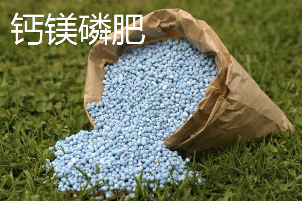 哪种肥料不是有机肥料，有石灰、碳酸氢铵等