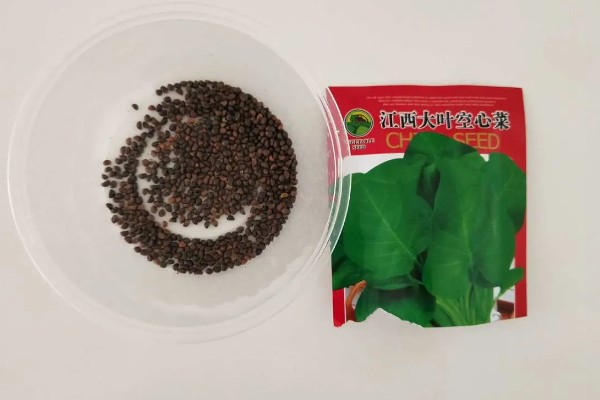 空心菜如何种植，要每采摘1次就要追肥1次