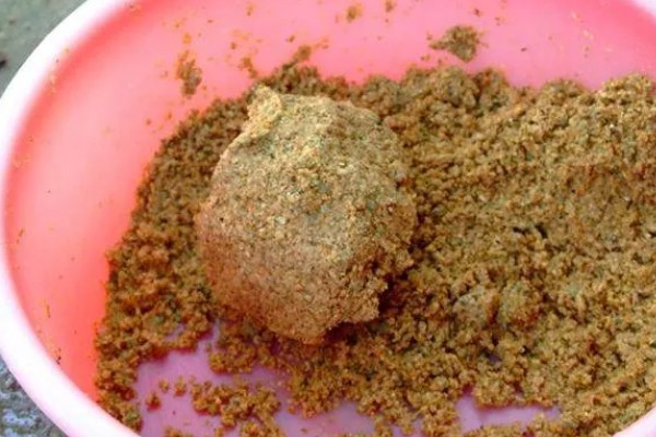 钓鲢鱼用哪种小药，对酸臭味食物特别偏爱