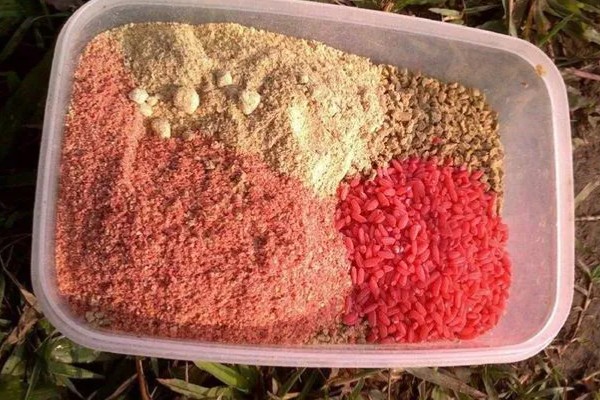 钓鲢鱼用哪种小药，对酸臭味食物特别偏爱