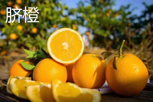 脐橙与血橙的区别，大小和颜色均不同