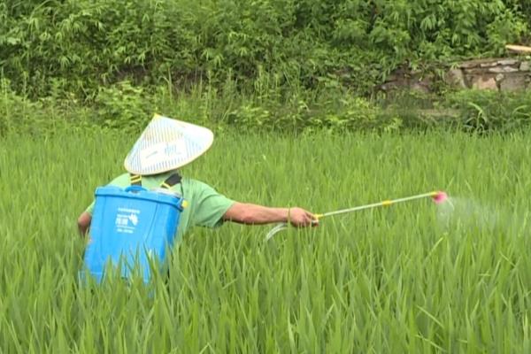 生物农药如何使用，要按照不同防治对象选择不同农药