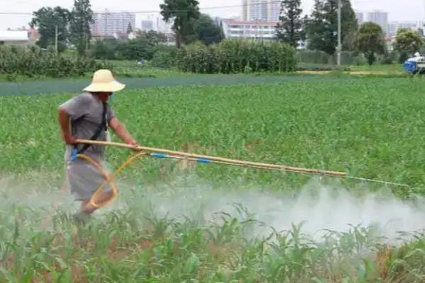 生物农药如何使用，要按照不同防治对象选择不同农药
