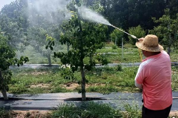 生物农药如何使用，要按照不同防治对象选择不同农药