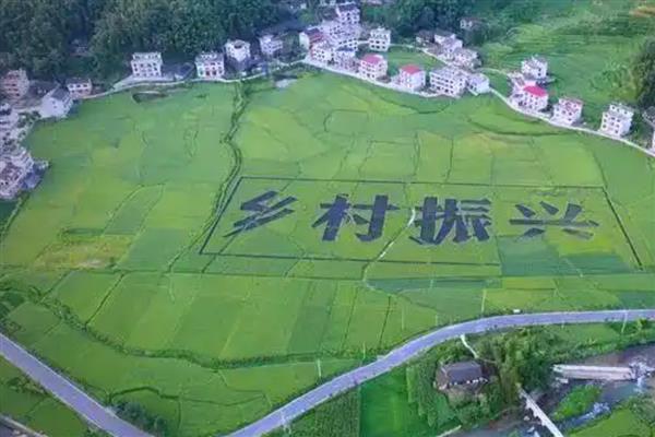 乡村振兴包括哪几个方面，包括产业振兴、人才振兴等
