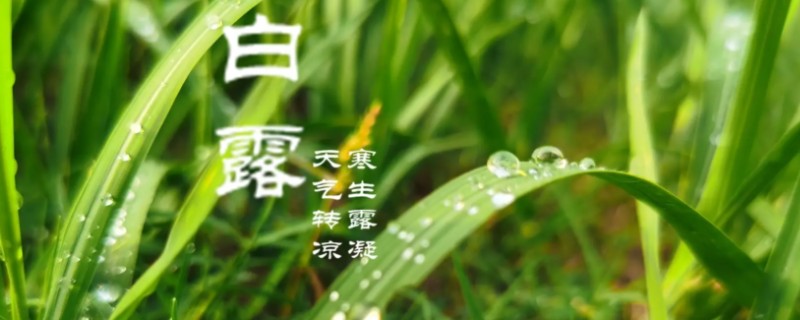白露节气的含义，指的是炎热的夏天已经彻底告别