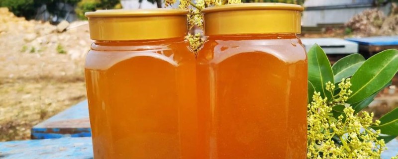 荔枝蜜的特点，颜色多呈琥珀色
