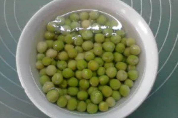 豌豆苗怎么水培,使用清水浸泡豌豆种子24小时,期间换水3次以上
