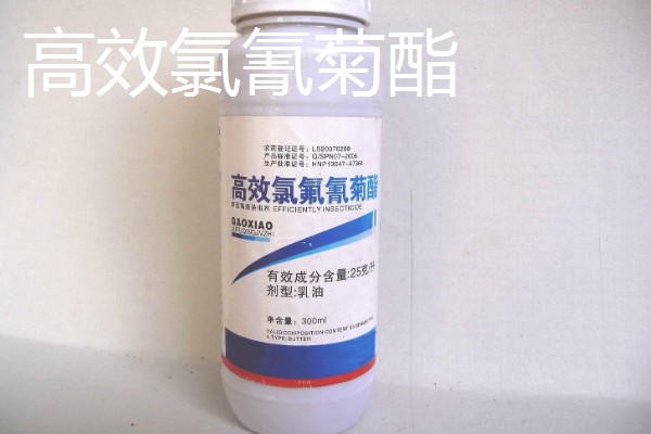 被马蜂蜇了怎么办,用弱酸性溶液冲洗被蛰处并涂抹解毒药物