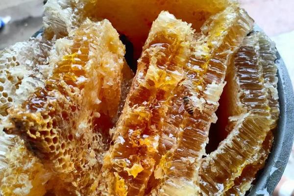哪里产的土蜂蜜好，广东、云南、广西、四川等地