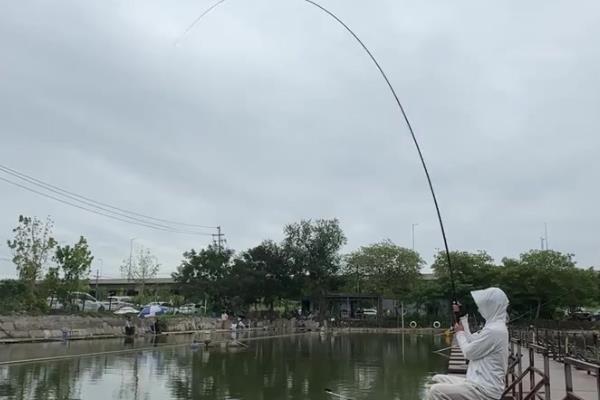 钓鱼竿什么牌子好,推荐达瓦、禧玛诺等