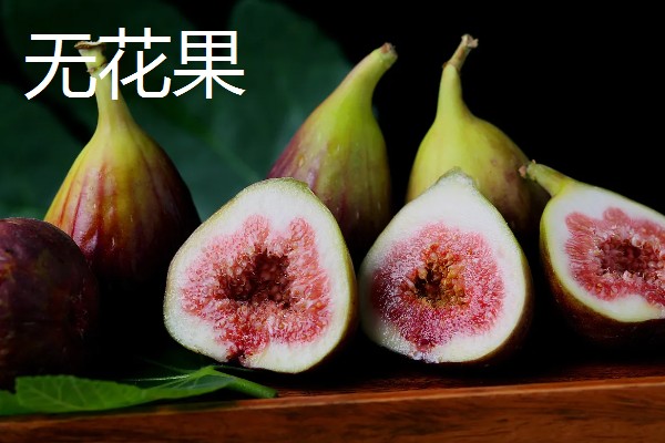 干鲜果品有哪些，有无花果、杏等