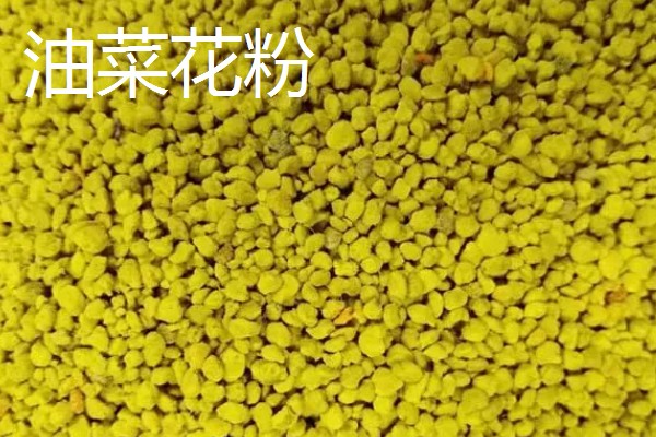 蜂花粉怎么吃，可直接用水冲服