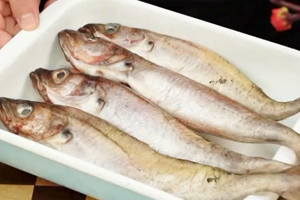 明太鱼是不是海鱼，属于冷水性海鱼