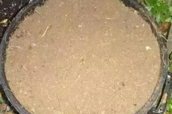 晒干的羊粪如何发酵，可以堆积或用水沤制