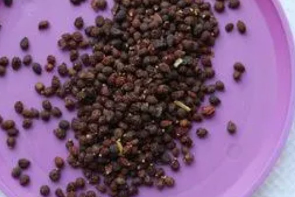 蝴蝶兰种子怎么催芽，主要有以下3种方式