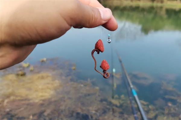 用花盆养蚯蚓钓鱼的方法，平时要投放果皮、蔬菜皮等食物